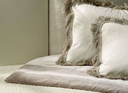 Afbeelding 52.webp