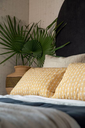Afbeelding 120.webp
