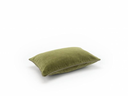 Afbeelding 249.webp