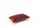Afbeelding 255.webp