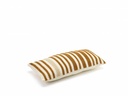 Afbeelding 447.webp